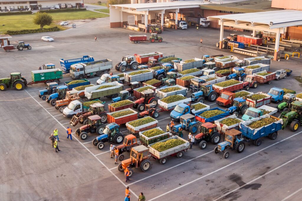 EMILIA ROMAGNA ECONOMY - Gruppo Caviro: innovare responsabilmente|https://emiliaromagnaeconomy.it/|EMILIA ROMAGNA ECONOMY - Gruppo Caviro: innovare responsabilmente