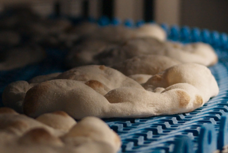 EMILIA ROMAGNA ECONOMY - Pinsami: piano di investimenti da 21 mln