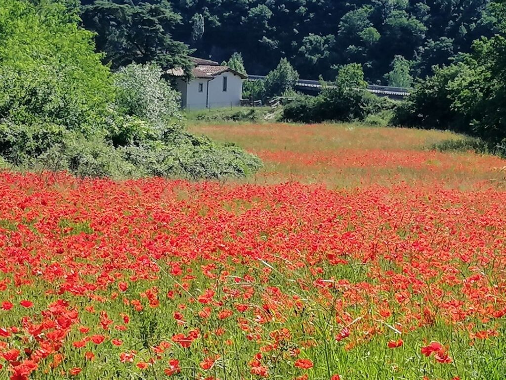 EMILIA ROMAGNA ECONOMY - Patrimonio immobiliare dell'appennino