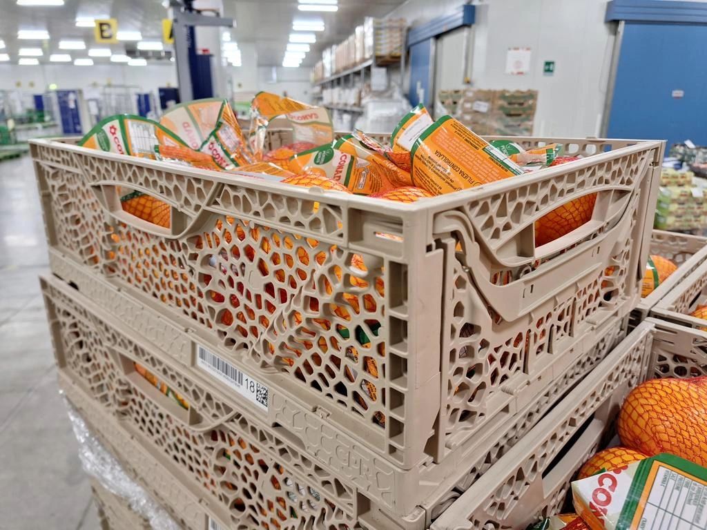 EMILIA ROMAGNA ECONOMY - CPR System: la logistica del futuro