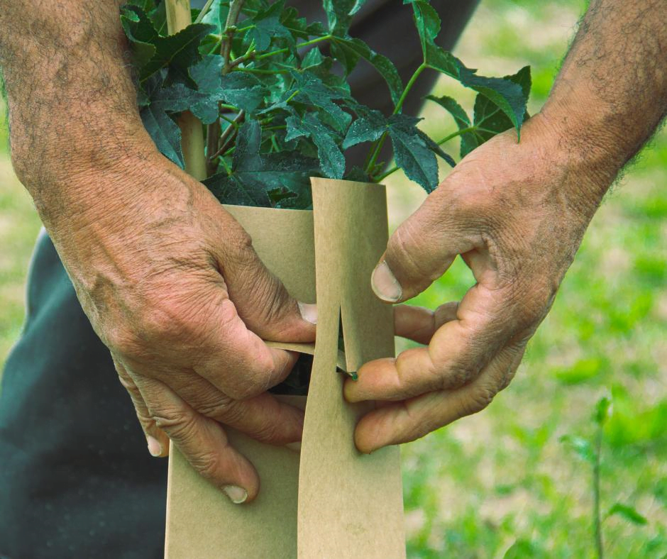 EMILIA ROMAGNA ECONOMY - KilometroVerdeParma