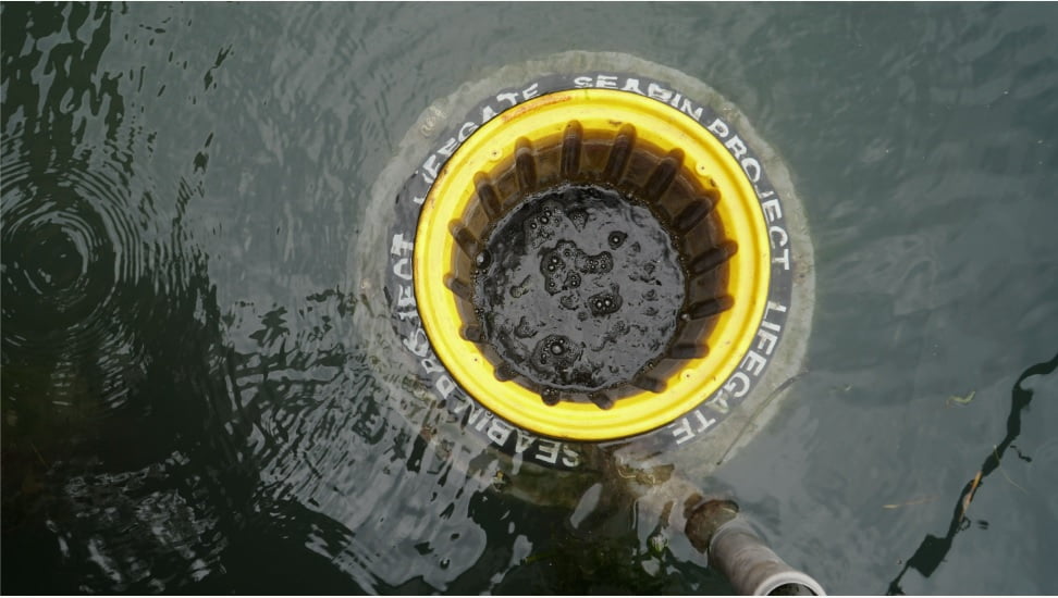 Emilia Romagna Economy - Findus: lotta ai rifiuti in mare|Emilia Romagna Economy - Findus: lotta ai rifiuti in mare